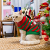 Dog Christmas Jumper Xmas Pet Sweater Clothes Striped Snowman Holiday Costume