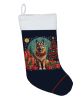 Belgian Tervuren Christmas Christmas Stocking Fireplace Hanging Stockings Christmas Season Party Decor Family Holiday Decorations