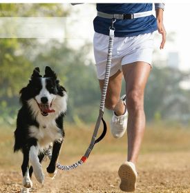 Hands Free Dog Leash for Medium and Large Dogs - Durable Dual Handle Waist Leash with Reflective Bungee for Running; Walking; Training; Hiking (Specification (L * W): 2.5*160cm, colour: Orange -4211)